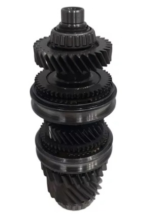 WhatsApp Image 2025-01-23 at 11.57.19