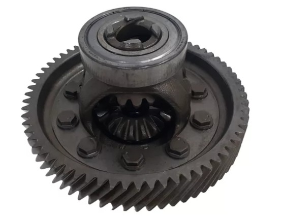 WhatsApp Image 2025-01-23 at 11.58.00