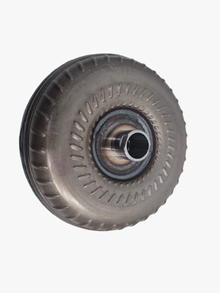 WhatsApp Image 2025-01-28 at 09.54.31