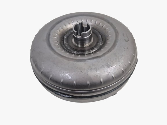 WhatsApp Image 2025-01-28 at 09.54.32